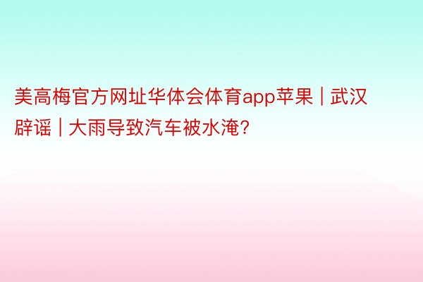 美高梅官方网址华体会体育app苹果 | 武汉辟谣 | 大雨导致汽车被水淹?