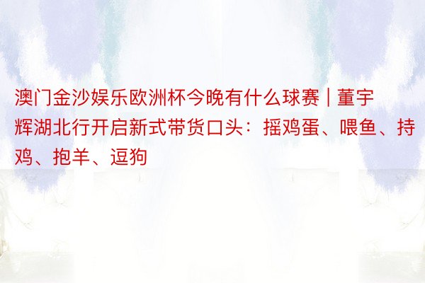 澳门金沙娱乐欧洲杯今晚有什么球赛 | 董宇辉湖北行开启新式带货口头：摇鸡蛋、喂鱼、持鸡、抱羊、逗狗