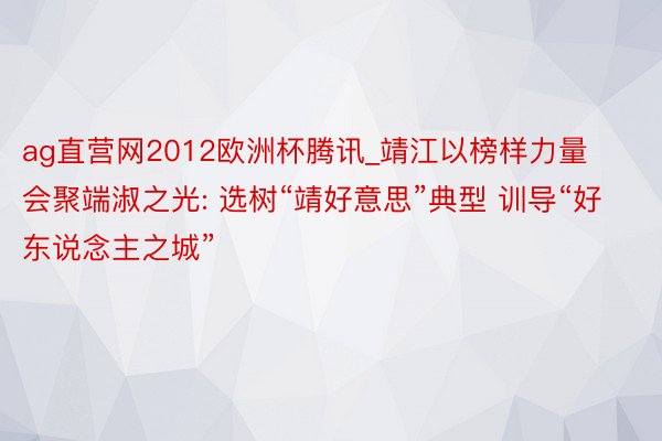 ag直营网2012欧洲杯腾讯_靖江以榜样力量会聚端淑之光: 选树“靖好意思”典型 训导“好东说念主之城”