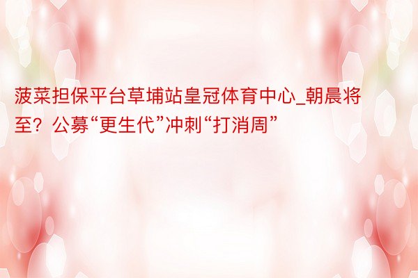 菠菜担保平台草埔站皇冠体育中心_朝晨将至？公募“更生代”冲刺“打消周”